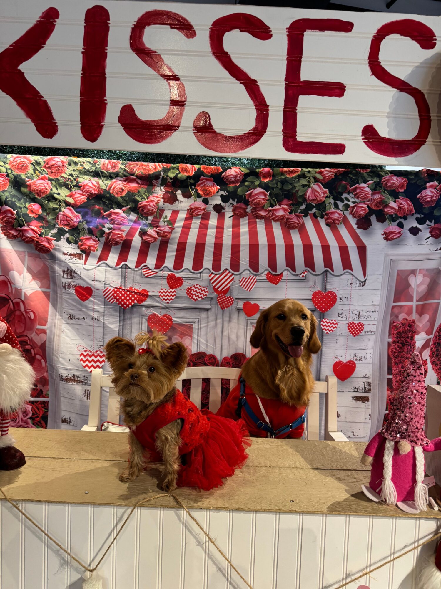 Two dogs dressed in red, sitting at a decorated table with hearts and striped canopy, with a large 'KISSES' sign above.