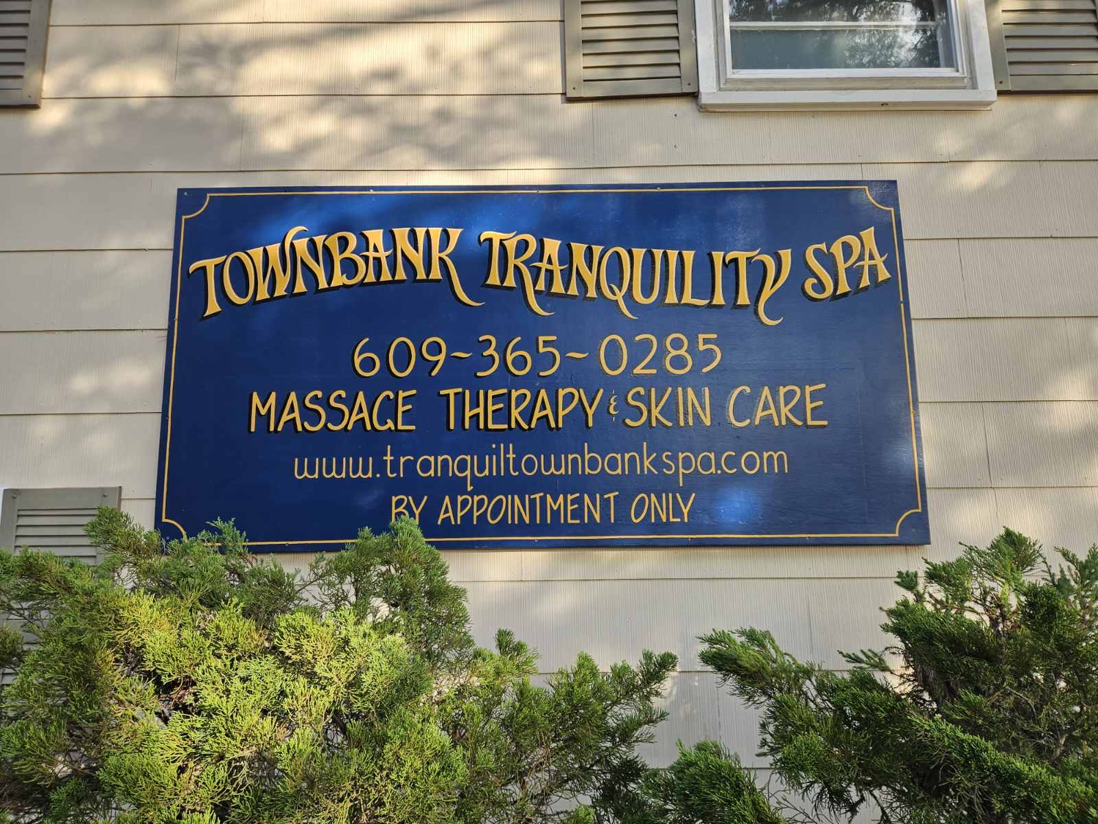 Blue sign for Townbank Tranquility Spa with contact number and services, mounted on a wall with greenery below.