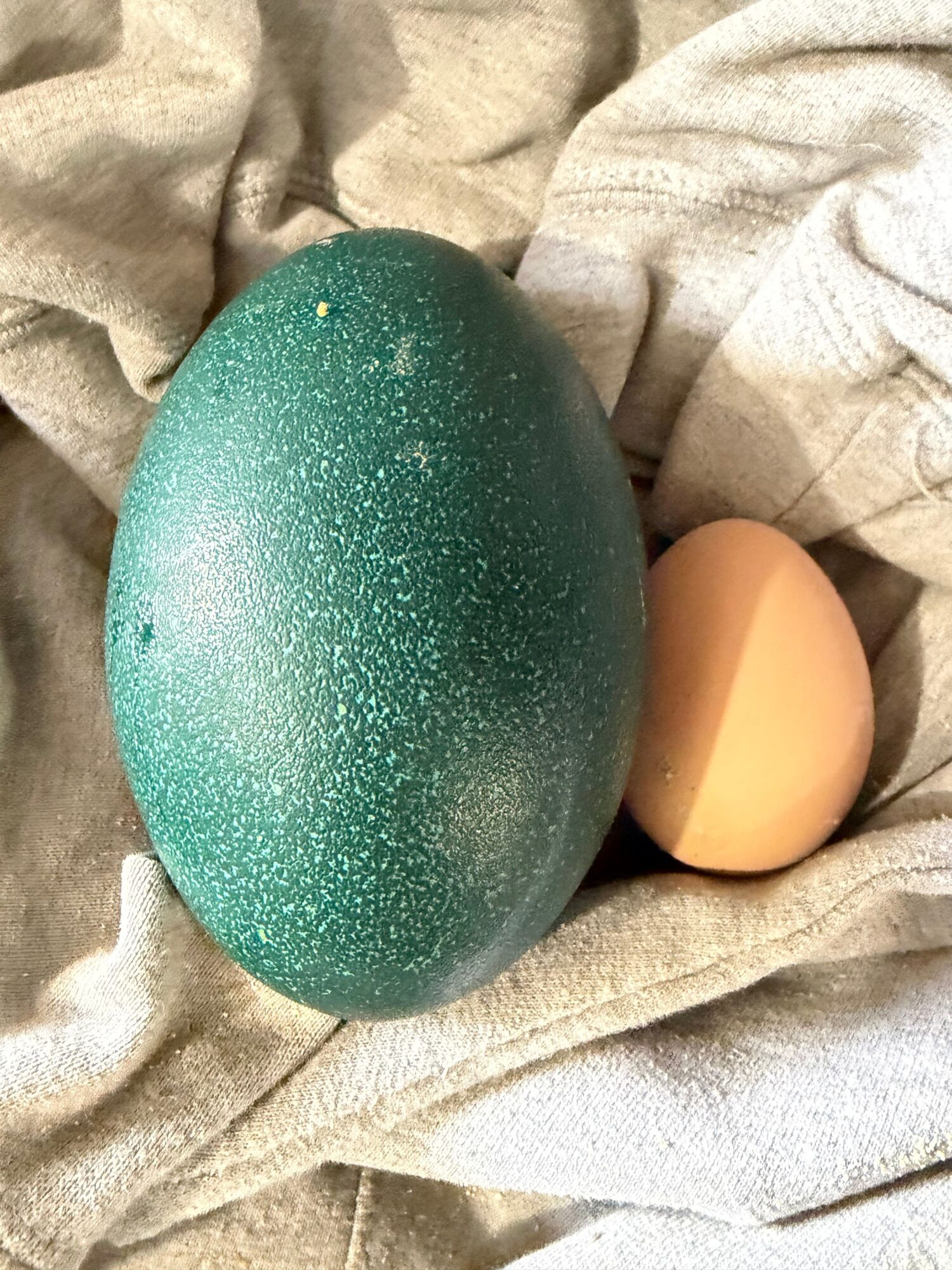 Large green speckled egg and smaller beige egg on fabric background.