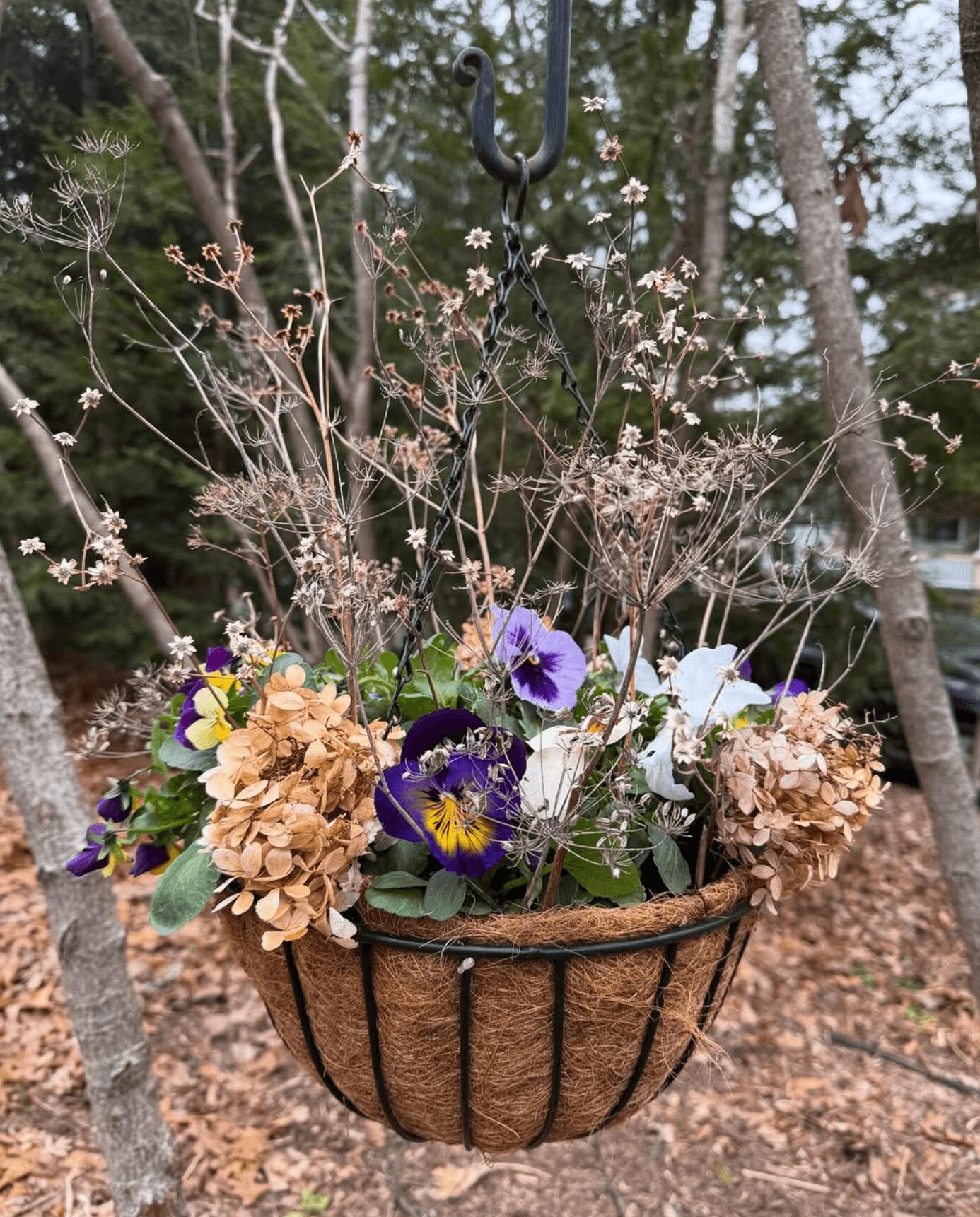 Hanging basket with purple, white, and brown flowers outdoors among trees and fallen leaves.