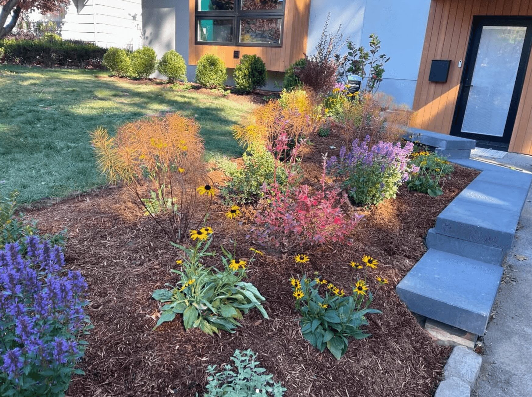Colorful garden with various flowering plants and shrubs, next to a modern house with steps leading to a door.