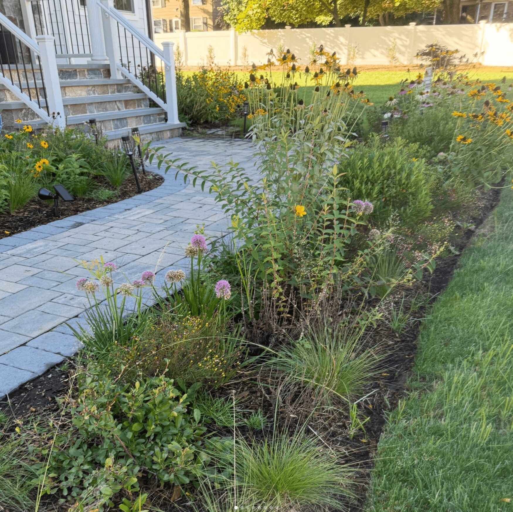 Garden with flowering plants, a paved walkway, and a grassy lawn, viewed from the side.