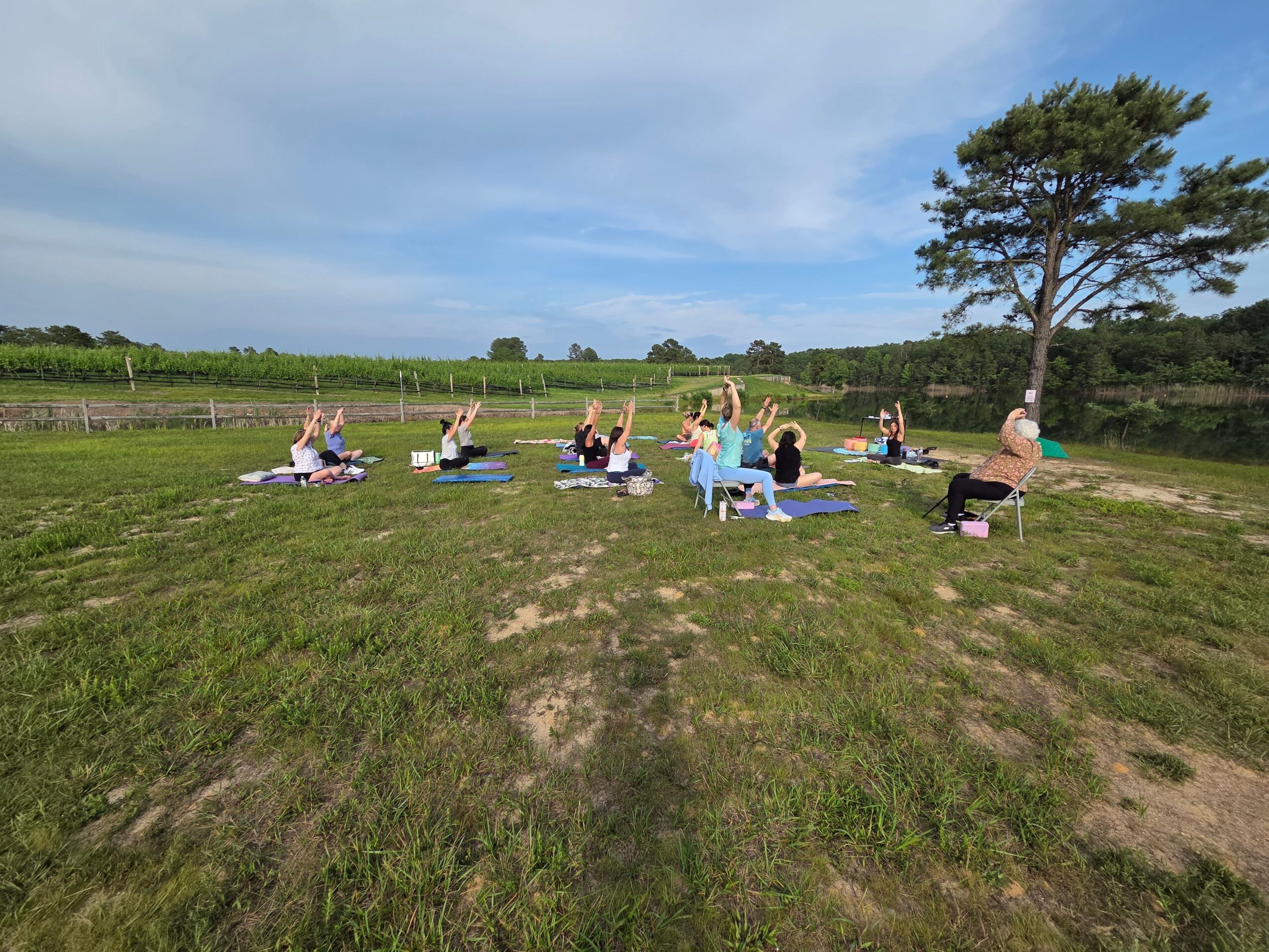 Group of people practicing yoga outdoors on mats in a grassy field with a tree and blue sky.