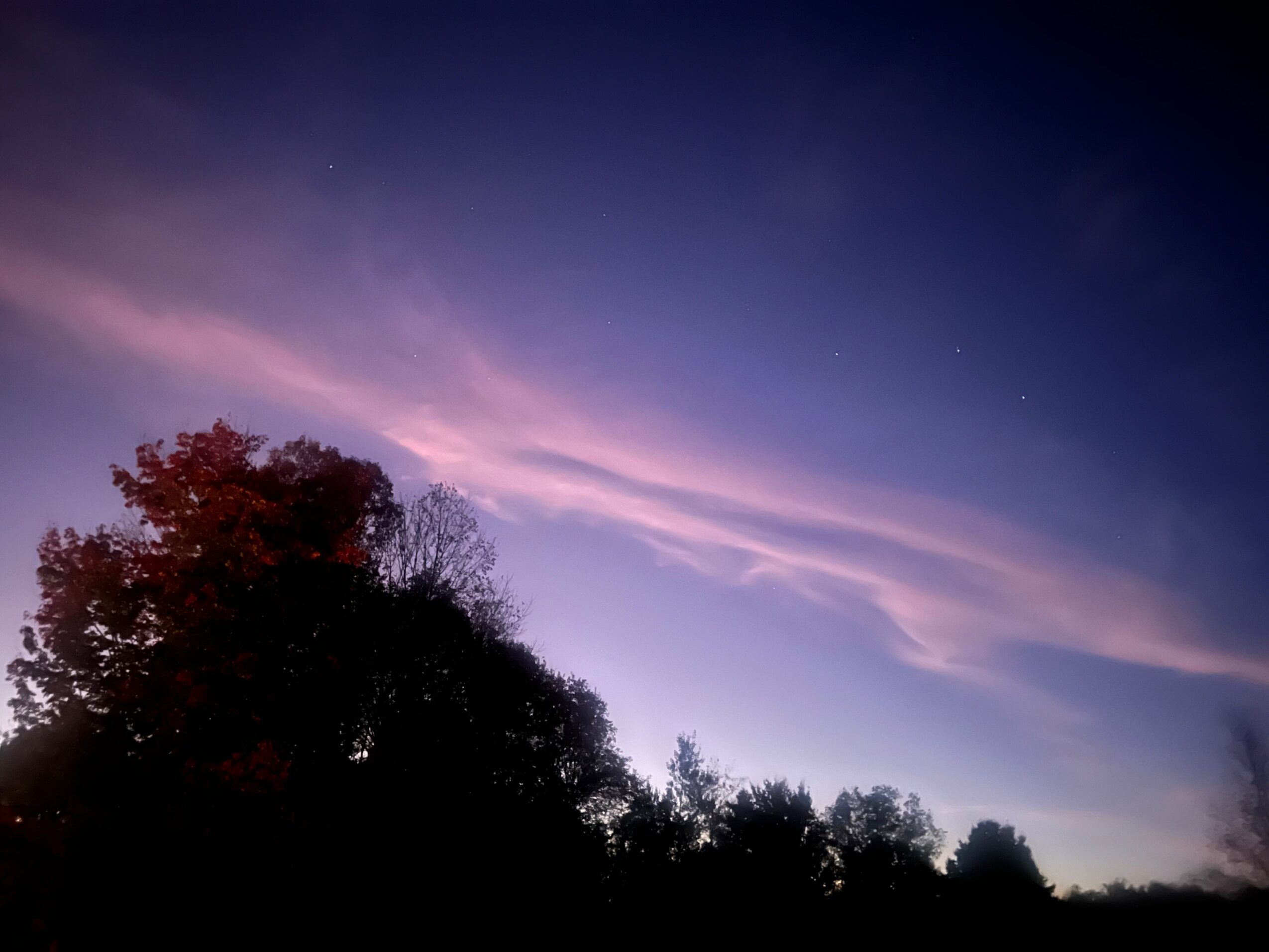 Night sky with pink and purple clouds above dark silhouetted trees.