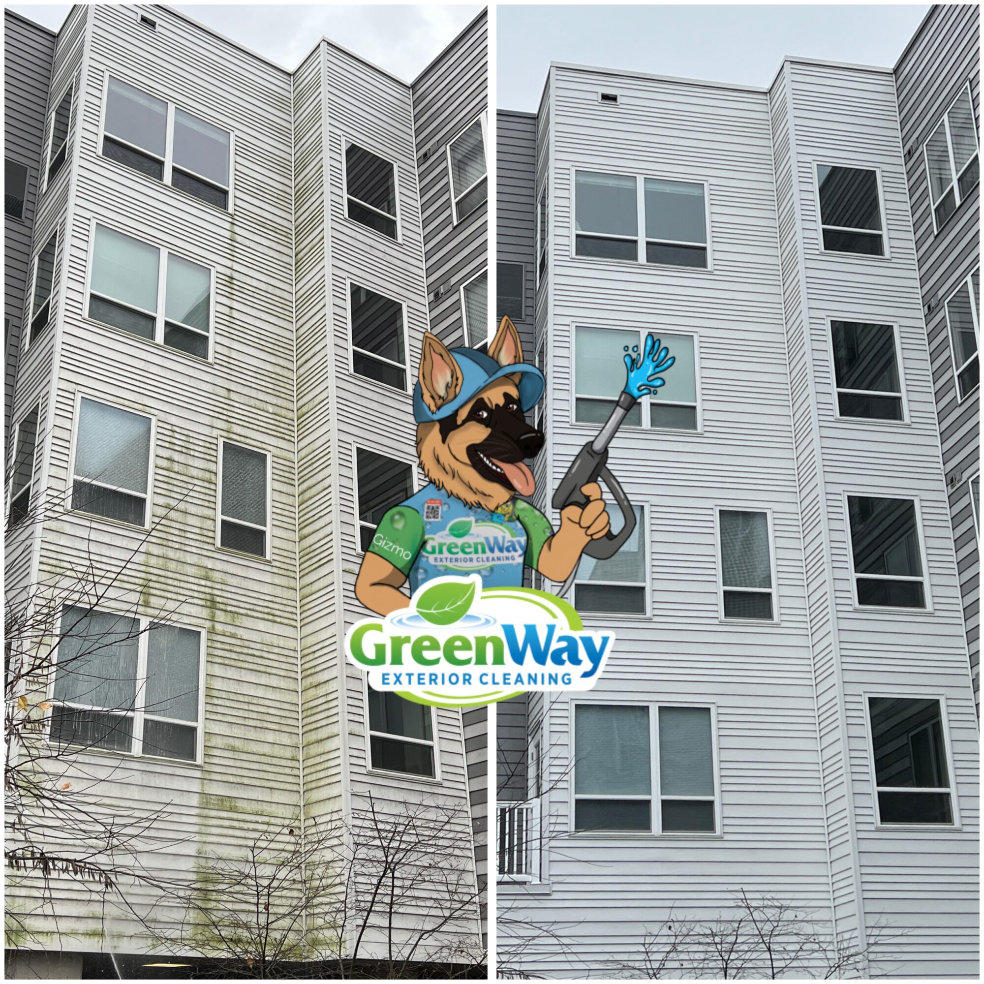 Split image of building exterior with a cartoon dog mascot holding a cleaning tool, logo for GreenWay Exterior Cleaning, and windows.