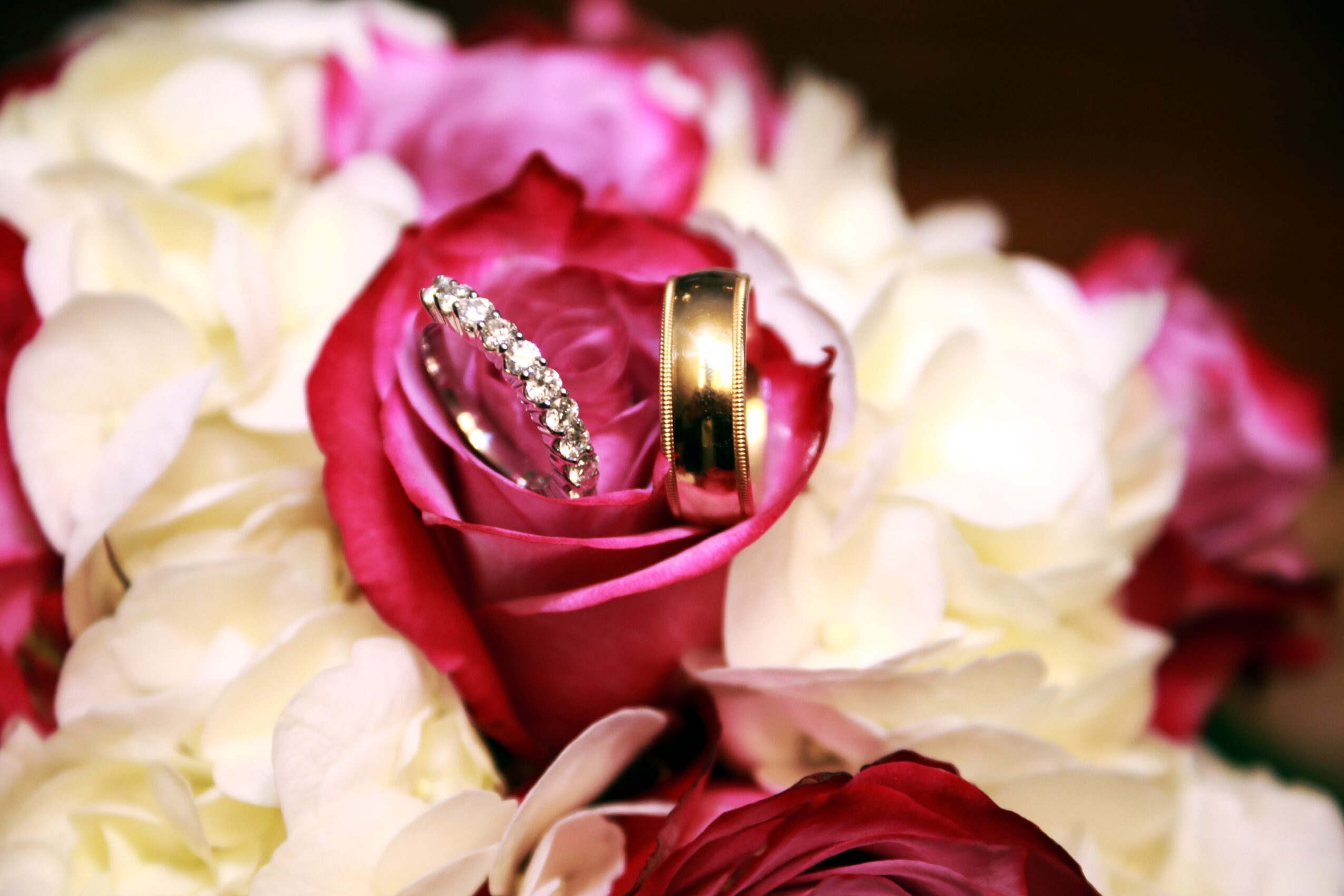 Two rings, one with diamonds and one plain, placed on a pink rose surrounded by white flowers
