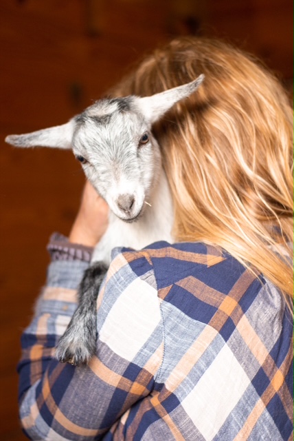 Person with long hair holding a small goat, facing away, wearing a plaid shirt, indoors.