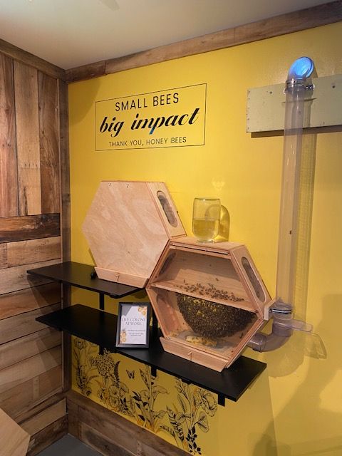 Display of a small beekeeping equipment with a yellow background, including a honey extractor, hive frames, and a sign reading 'Small Bees Big Impact'.