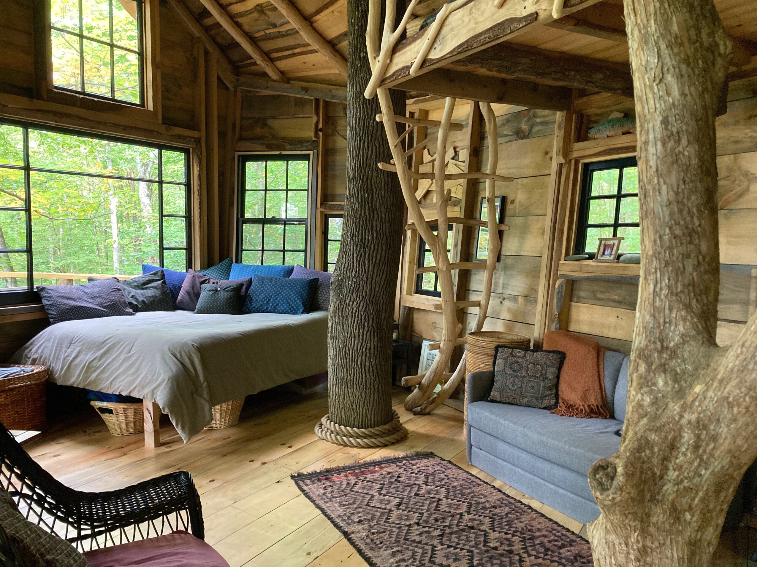 Cozy treehouse interior with a bed, sofa, ladder, and large windows showing greenery outside.