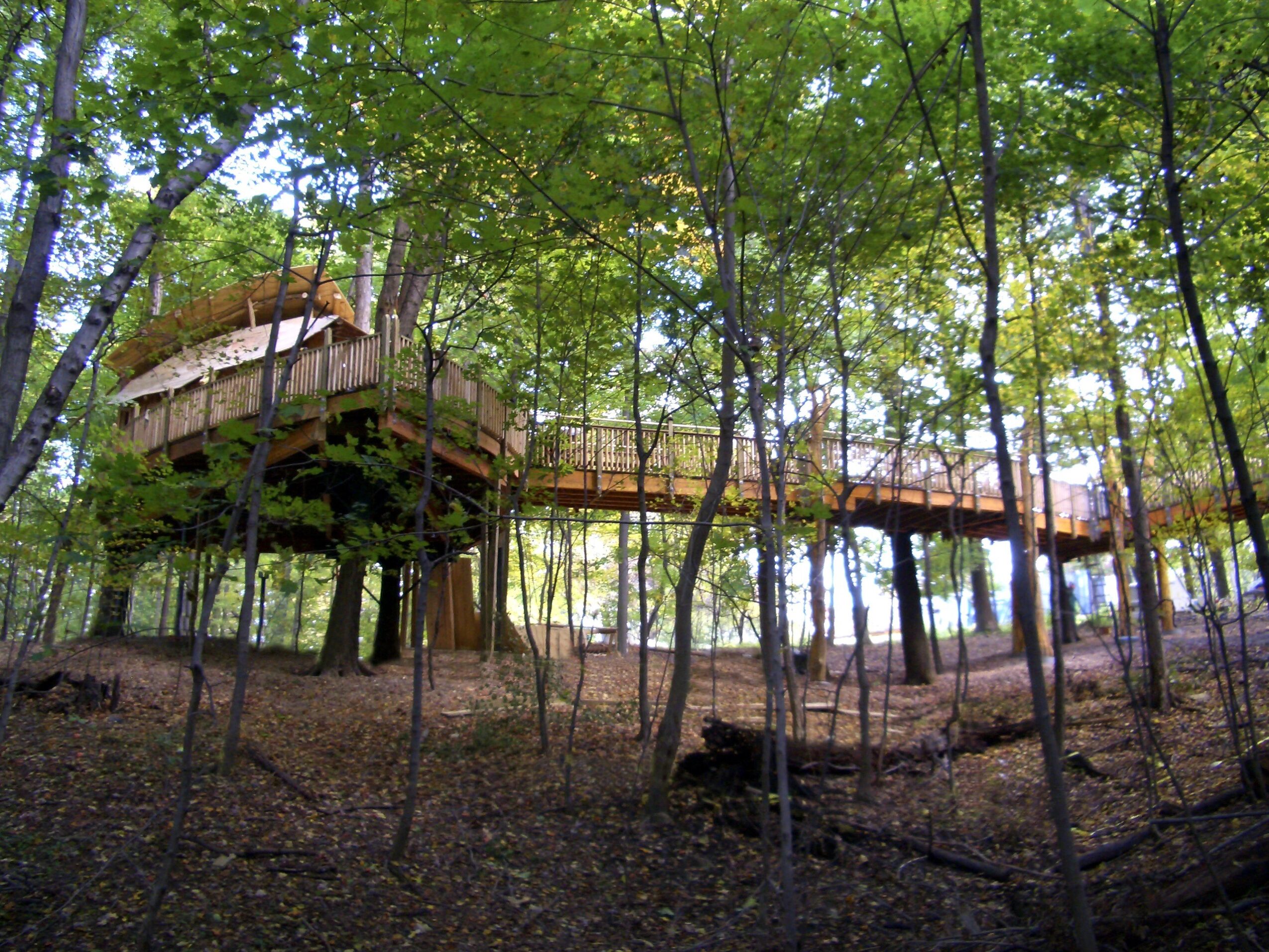 Treehouse with a wooden bridge among green trees in a forest, sunlight filtering through leaves.