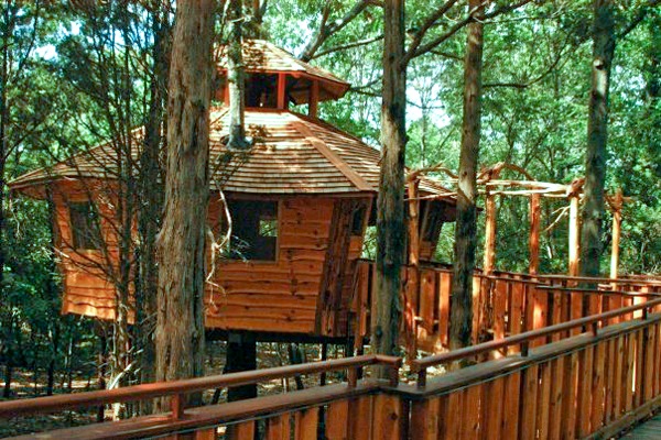 Treehouse built among tall trees with wooden railings and a forest background.
