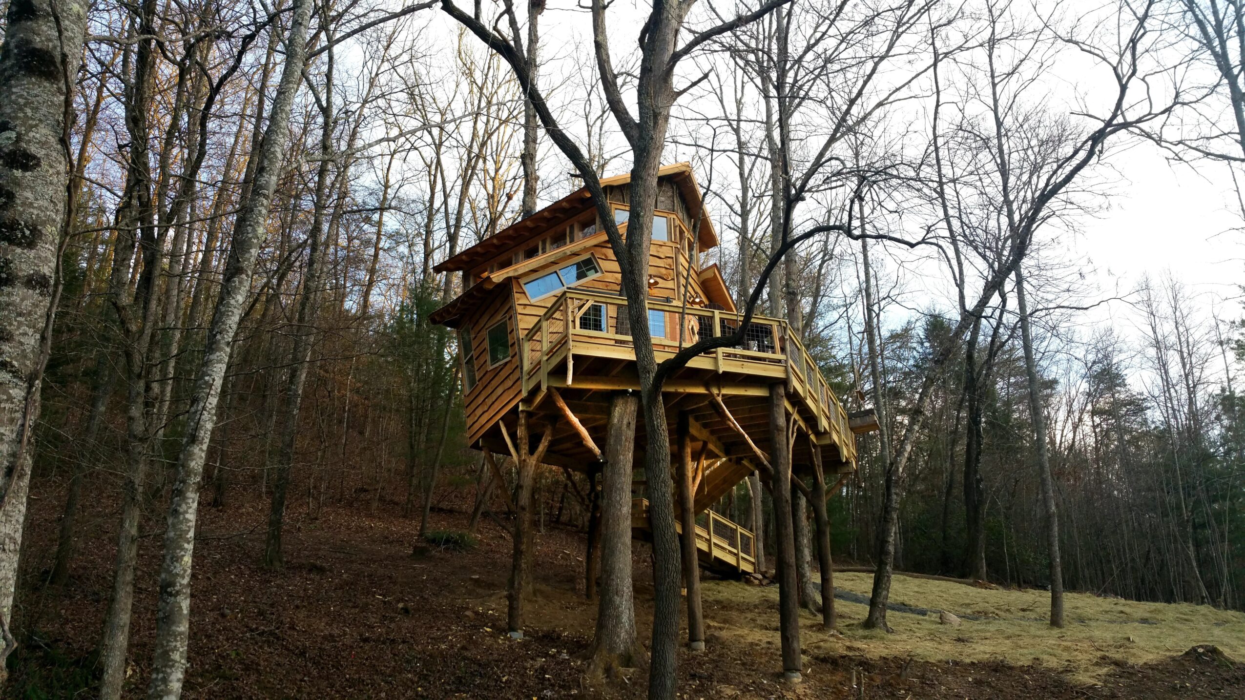 Treehouse built around a large tree, with wooden stairs leading up to it, in a wooded area.