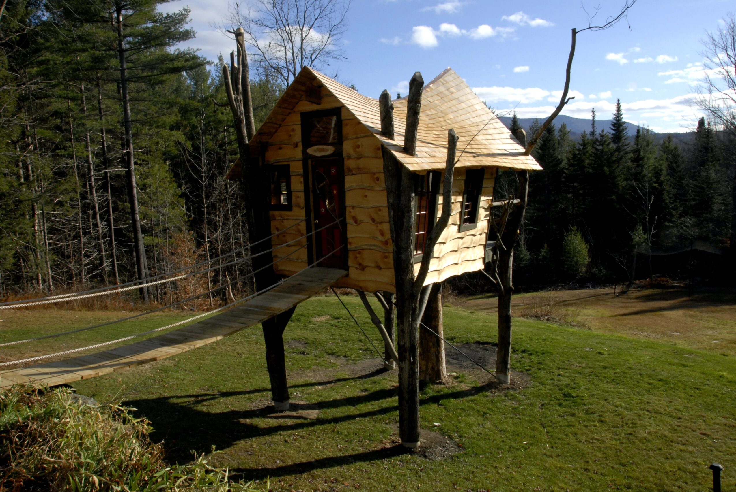 Treehouse built among trees with a wooden bridge, set in a forested area under a blue sky.