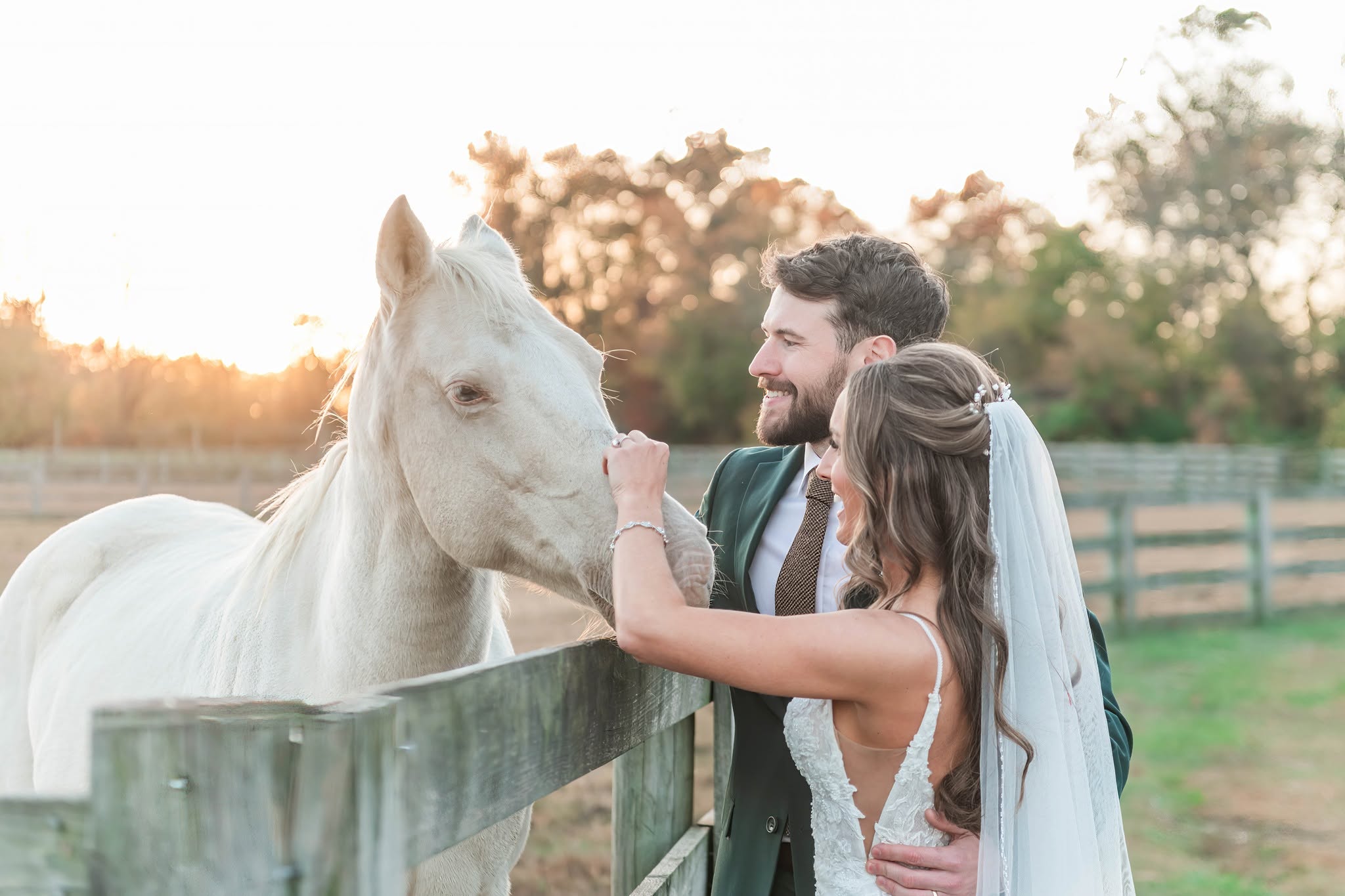 A bride and groom with a white horse outdoors at sunset, smiling and touching the horse's face, with trees and a fence in background.