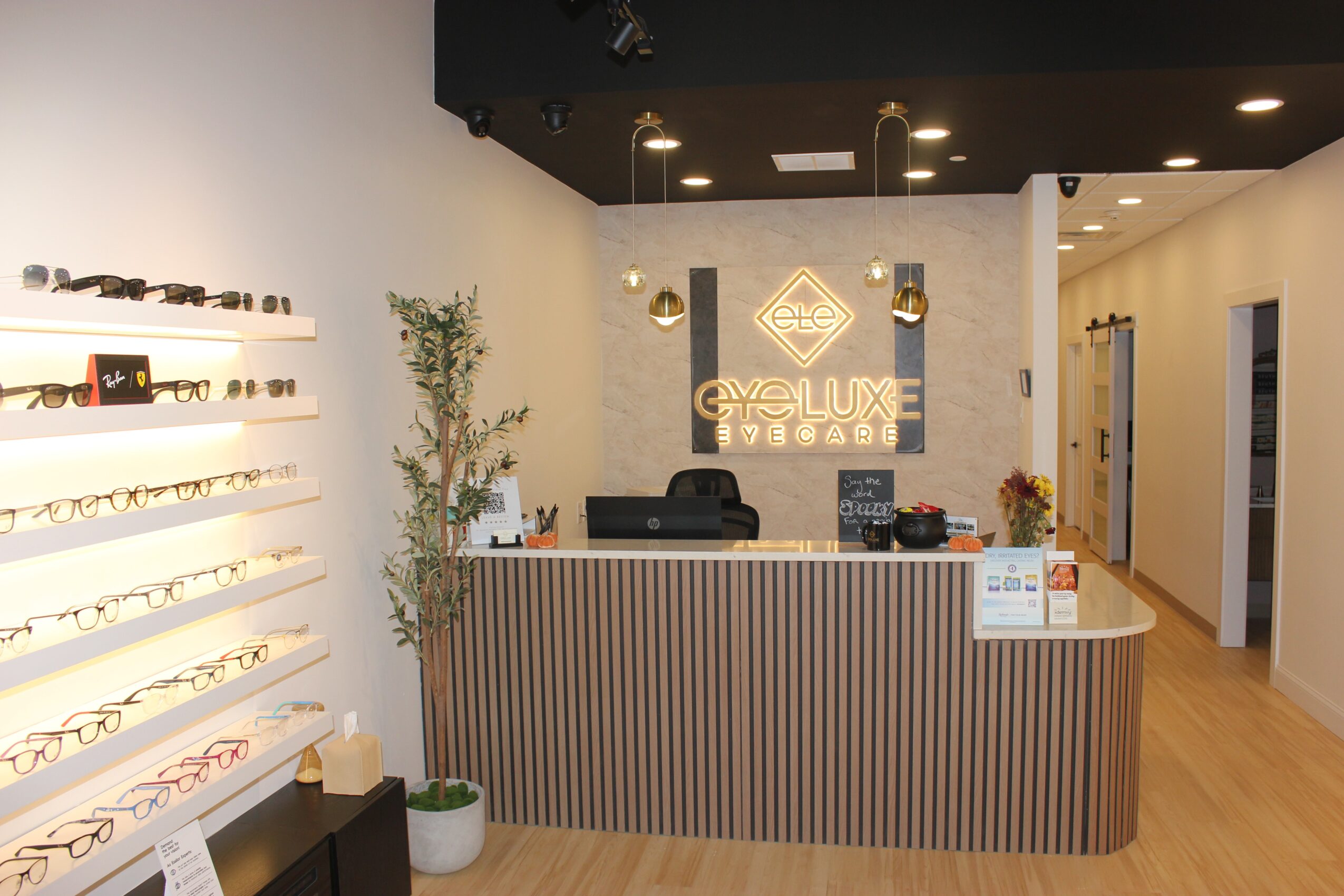 Reception desk with a sign reading 'Deluxe' behind it, shelves with sunglasses on the left, and a plant nearby.