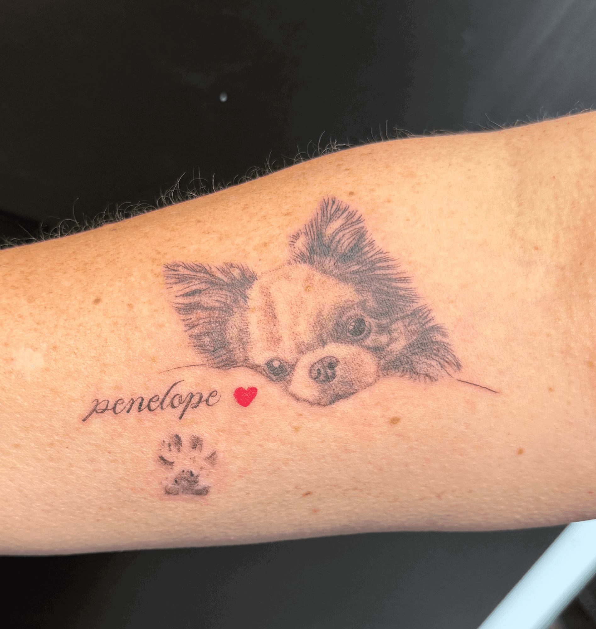 Tattoo of a dog's face with the name 'penelope', a small paw print, and a red heart on skin.