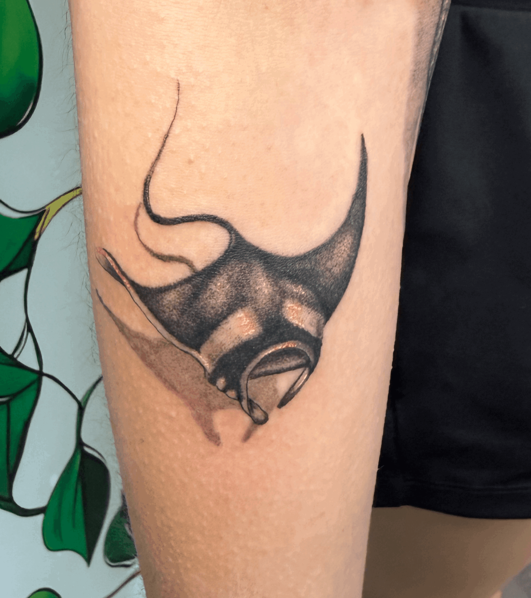 Tattoo of a stylized insect with large wings on person's upper arm.