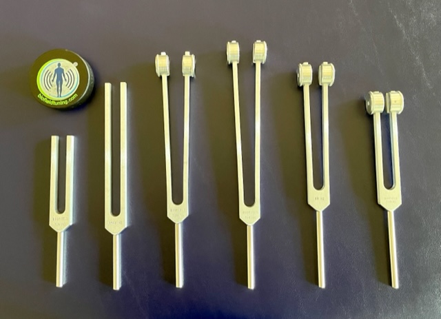Six plastic tools with long handles and different head shapes, arranged in a row on a gray surface, with a round object on the left.