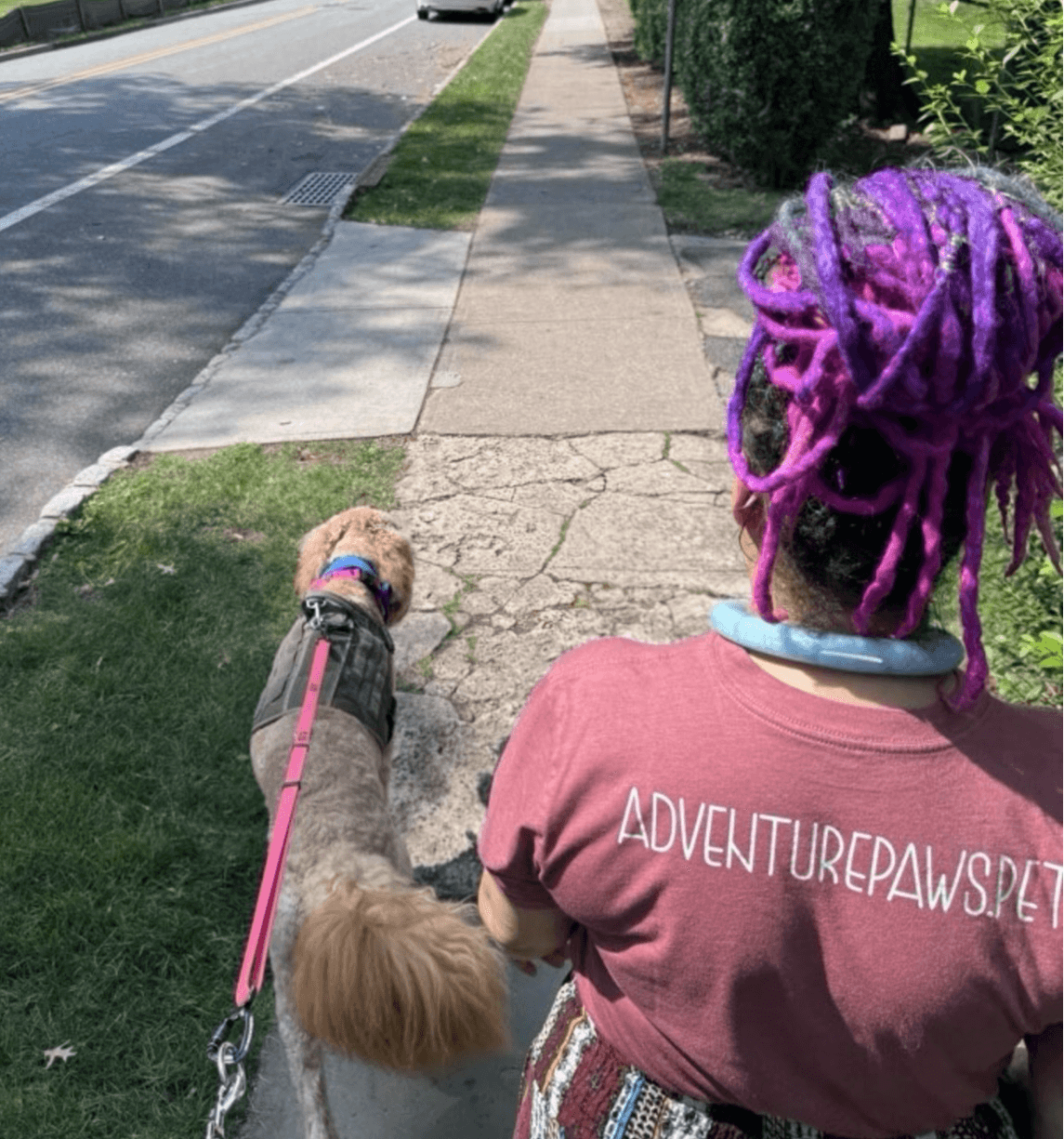 Person with purple dreadlocks walking a dog on a sidewalk, with a grassy area and street in the background.