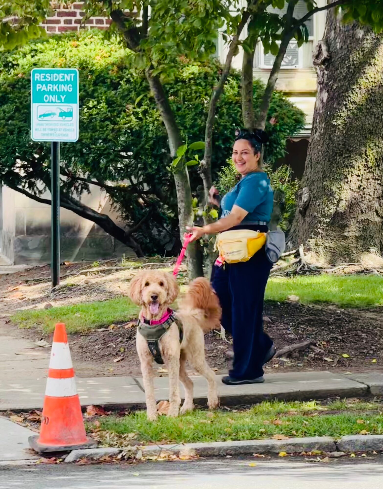 Woman with a dog on a leash standing on a sidewalk near a traffic cone, trees, and a parking sign, outdoors.