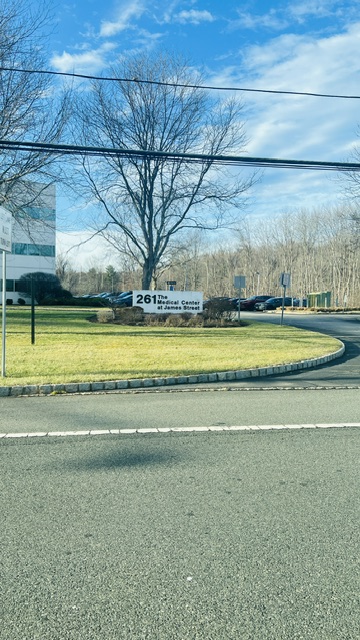 Tree with bare branches near a road, sign with address 261, blue sky with clouds, power lines overhead.