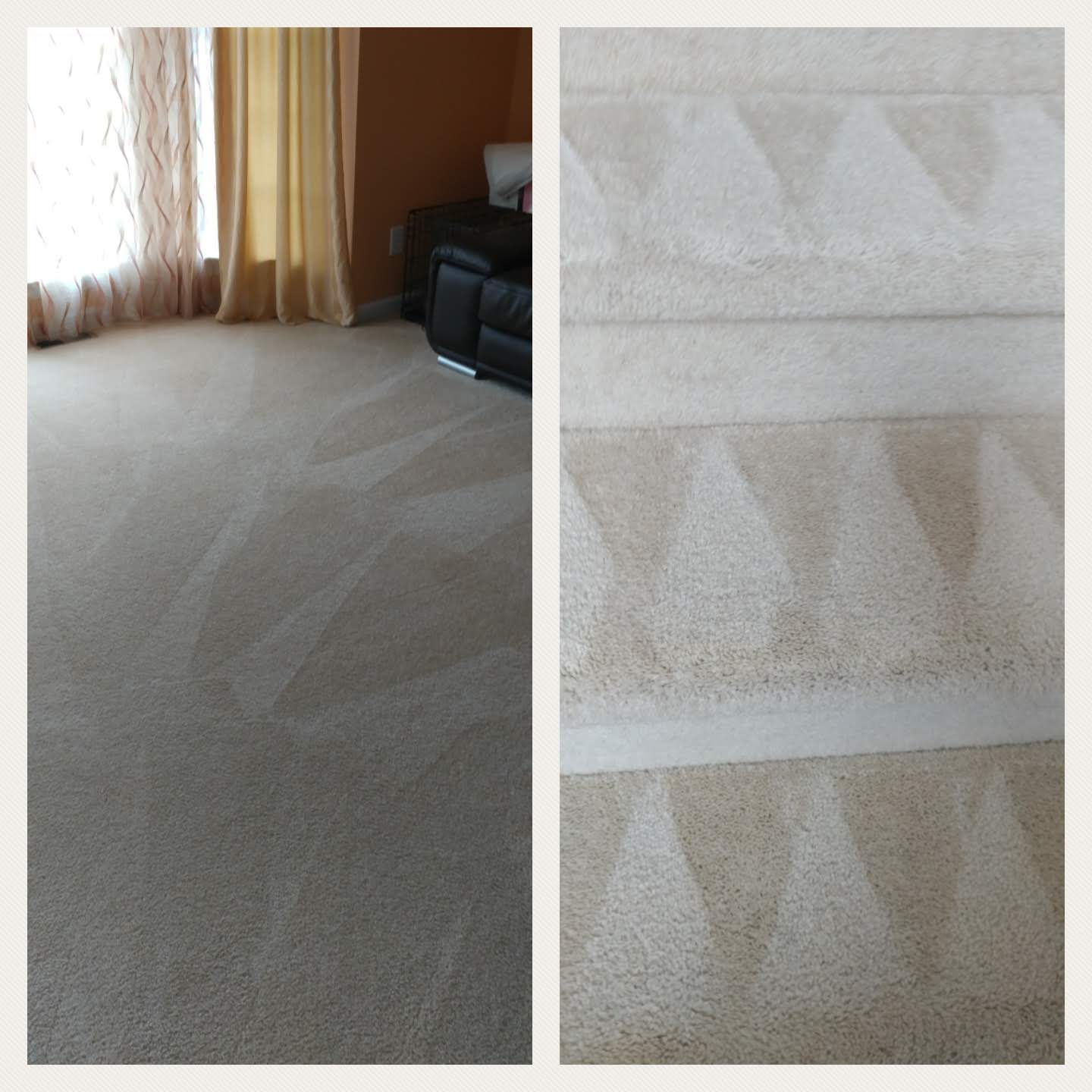 Comparison of a carpeted floor with visible vacuum lines and a close-up of the carpet's textured pattern.