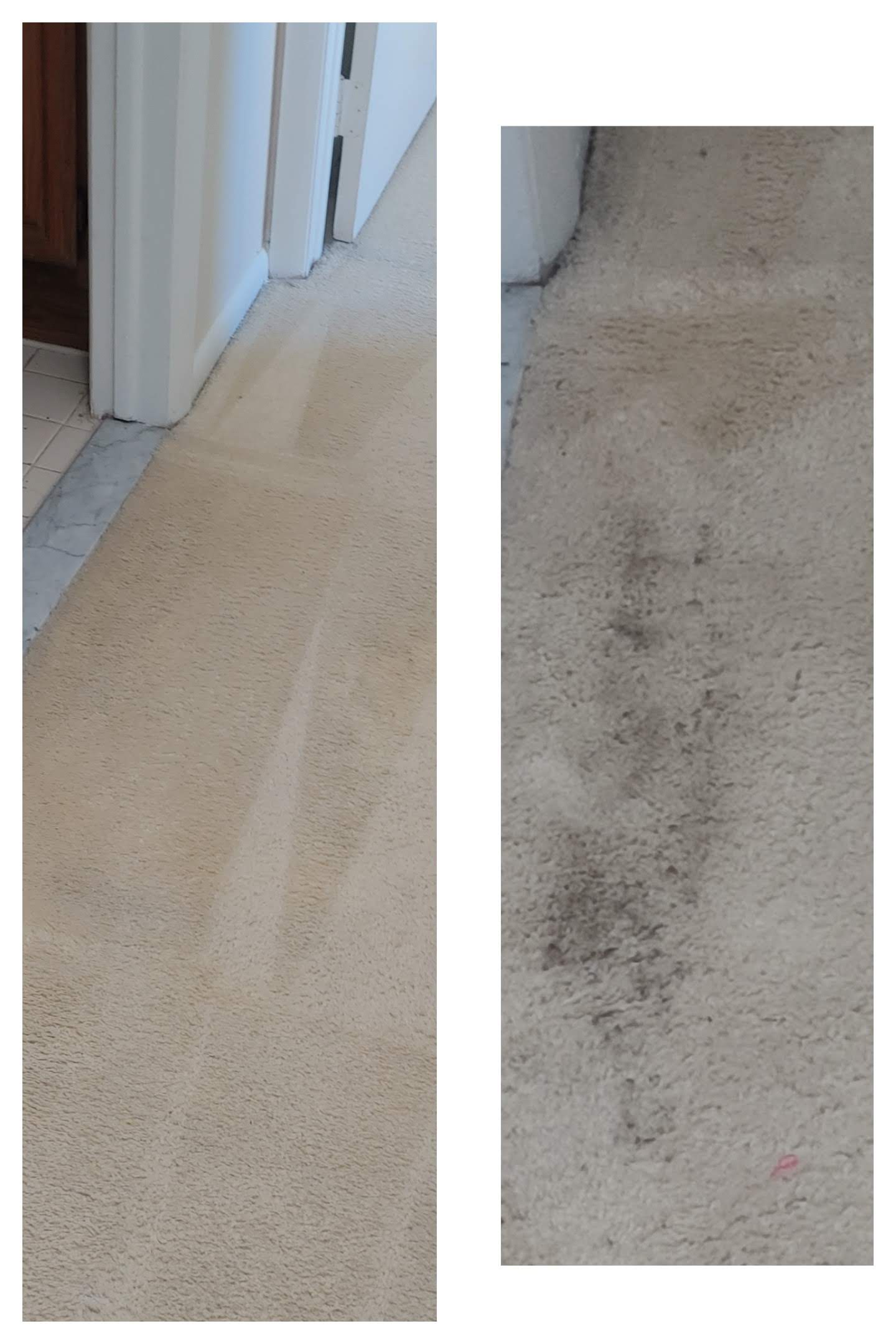 Comparison of clean beige carpet and dirty stained concrete floor, side by side.