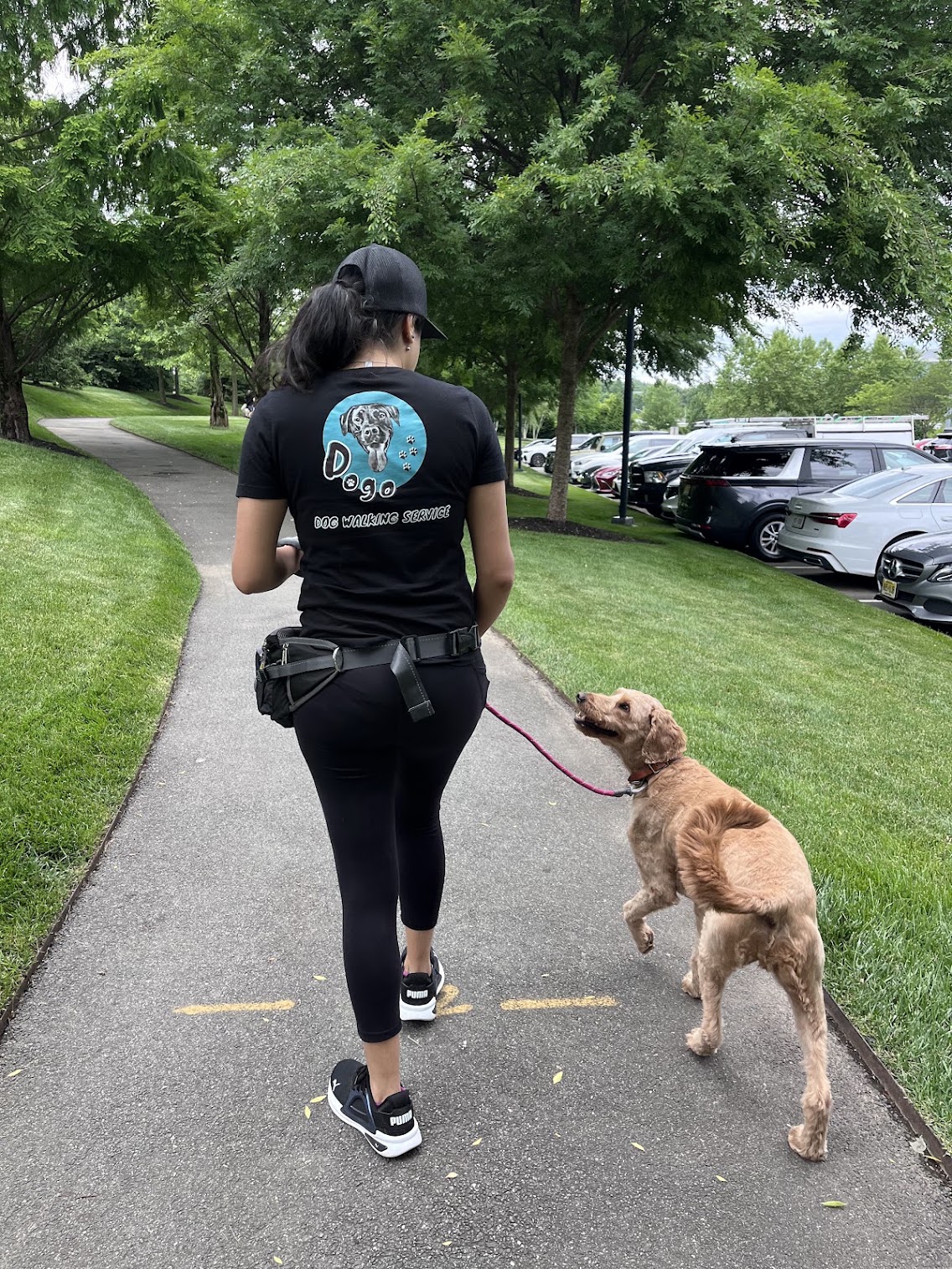 Person walking a dog on a leash along a park path with trees and parked cars nearby.