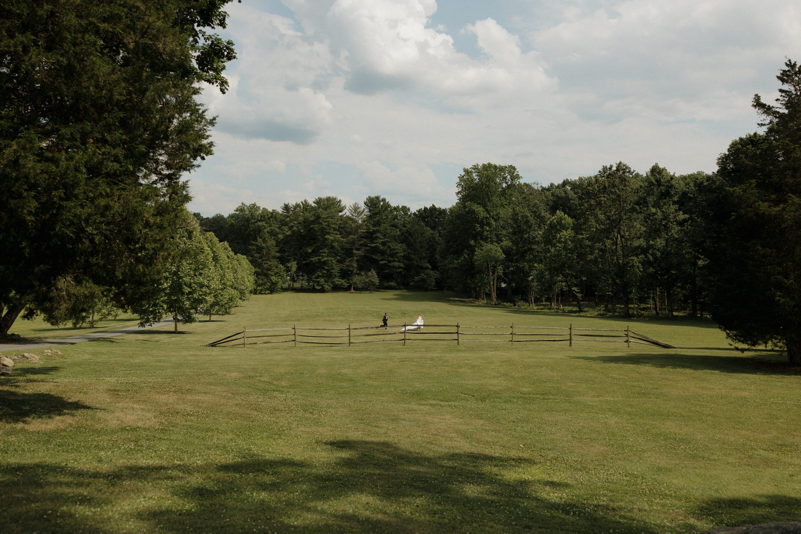 Open grassy park with trees and a cloudy sky, a person lying on the grass, and a wooden fence in the background.