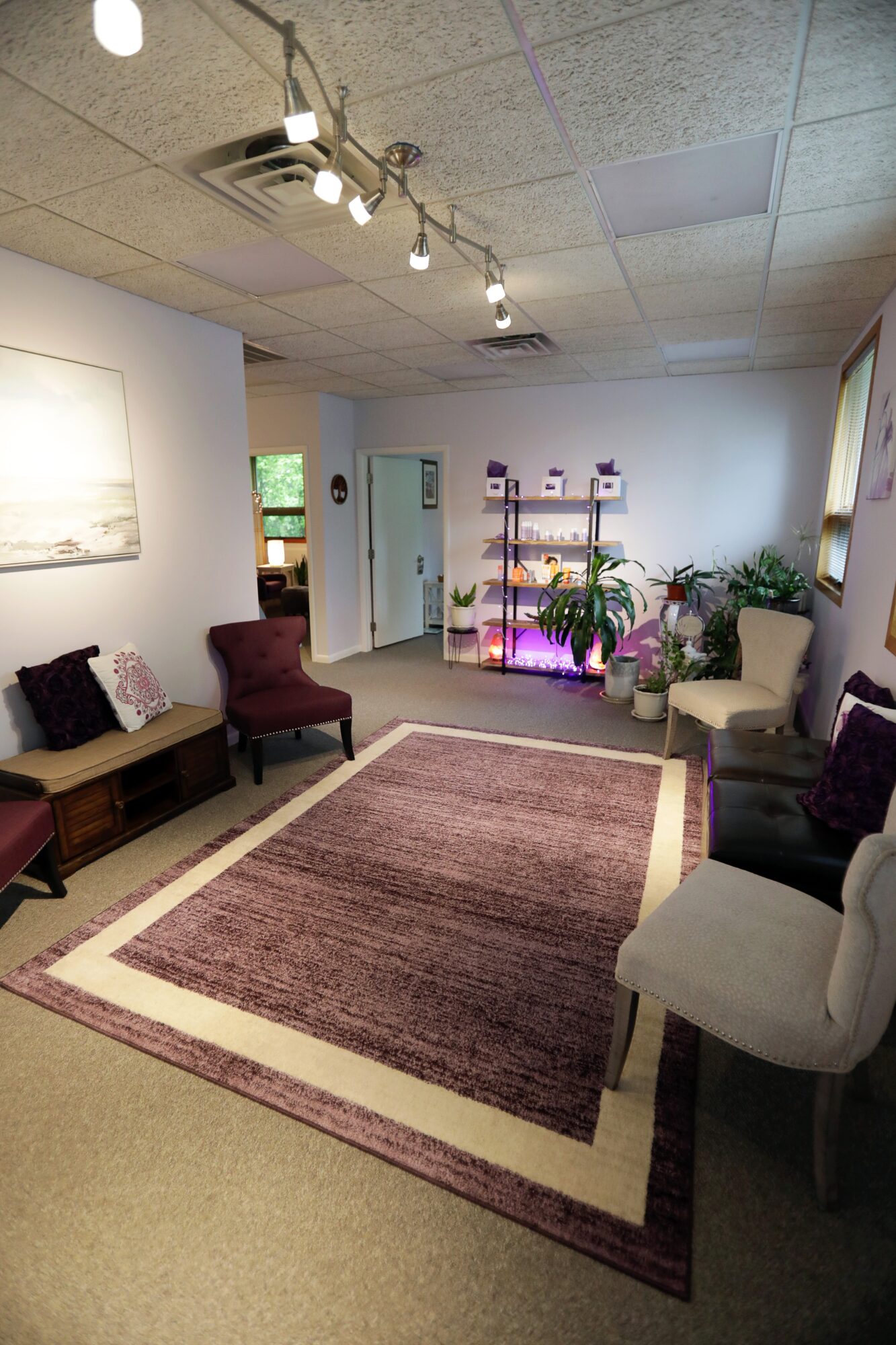 Room with chairs, a rug, a shelf with plants, and a painting on the wall, lit by ceiling track lights.