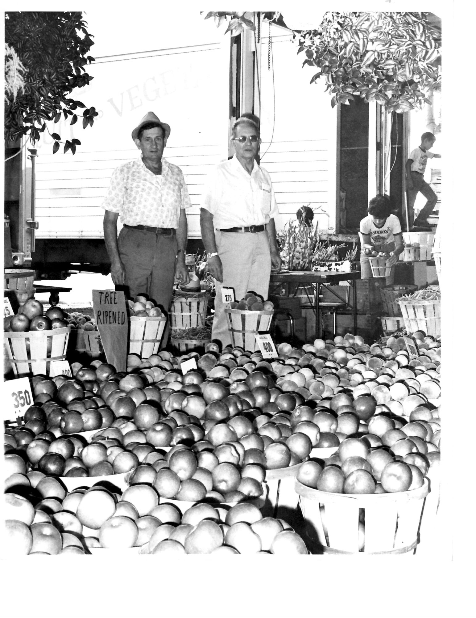 Two women stand behind a fruit stand with apples, in an outdoor market setting, with trees and people in background.