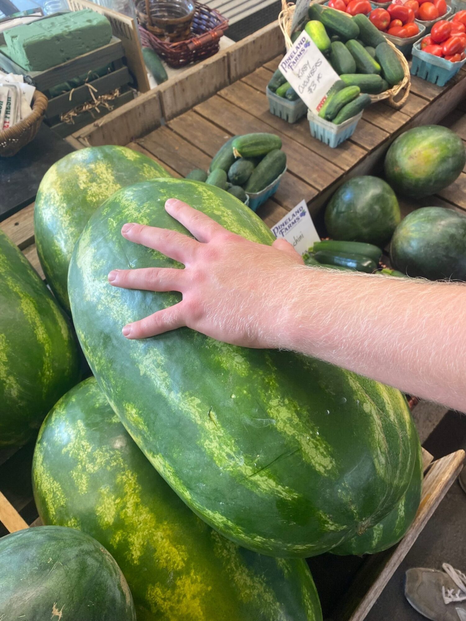 Child's hand resting on large green watermelon in a grocery store produce section.