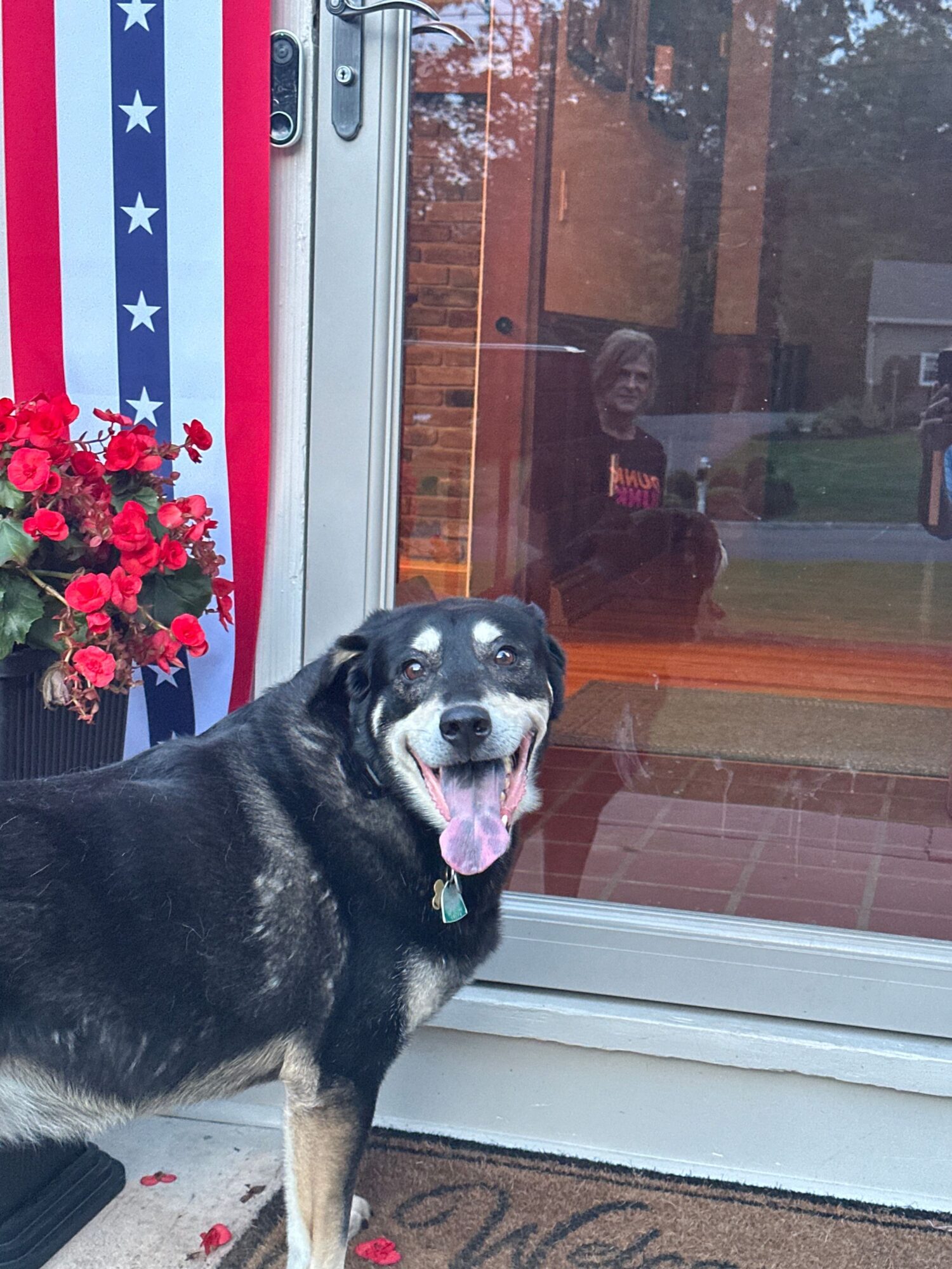 Dog with tongue out sitting near glass door with American flag and flowers outside, indoors.