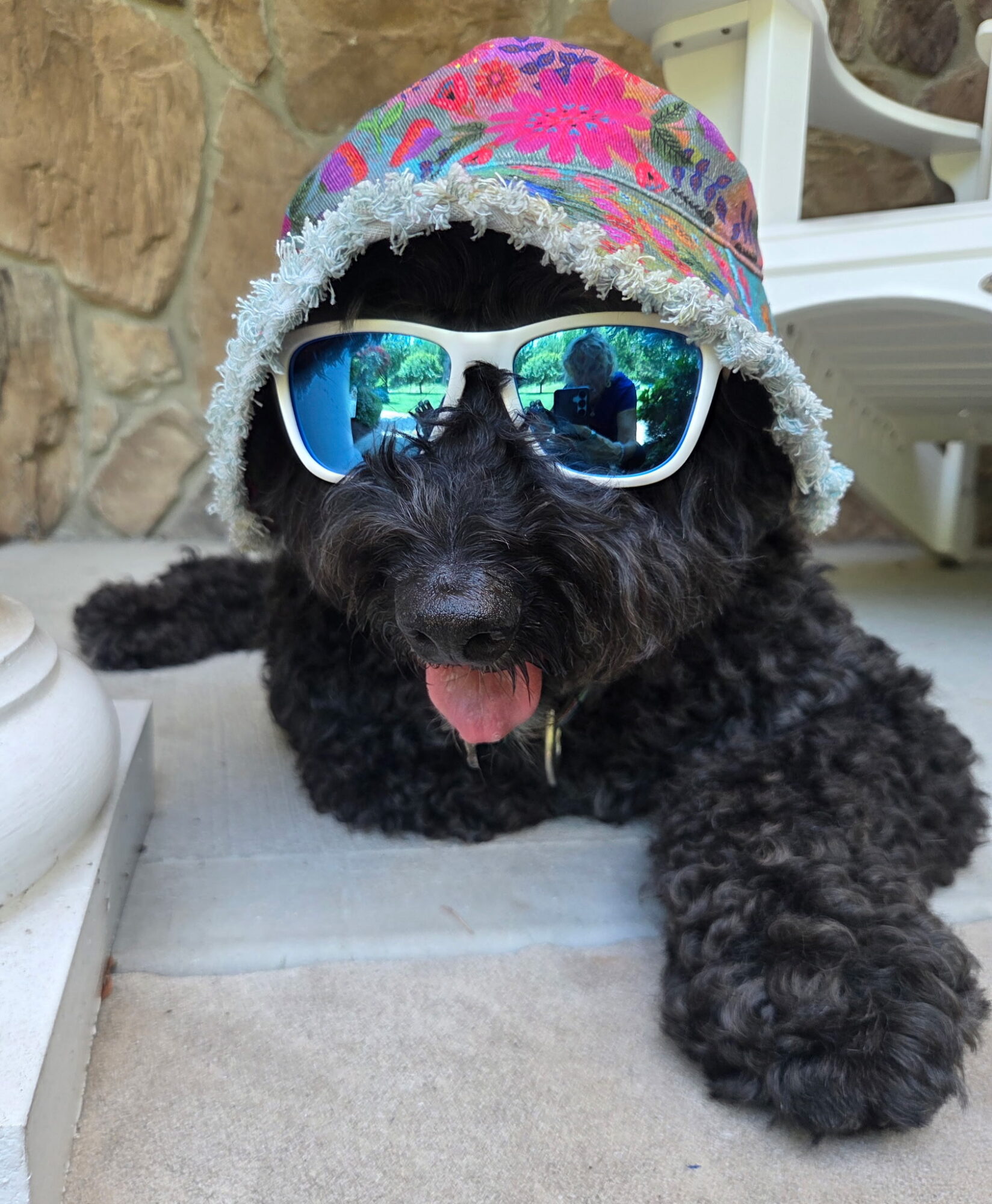Dog wearing a colorful hat and sunglasses, lying on a surface outdoors, with a stone wall and white chair in background.