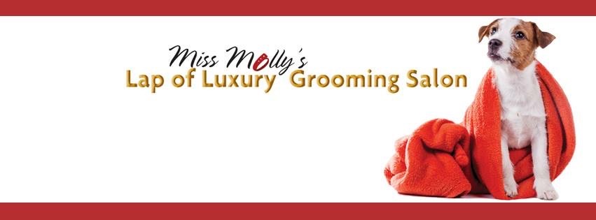 Dog sitting on a red blanket with a sign for Miss Molly's luxury grooming salon