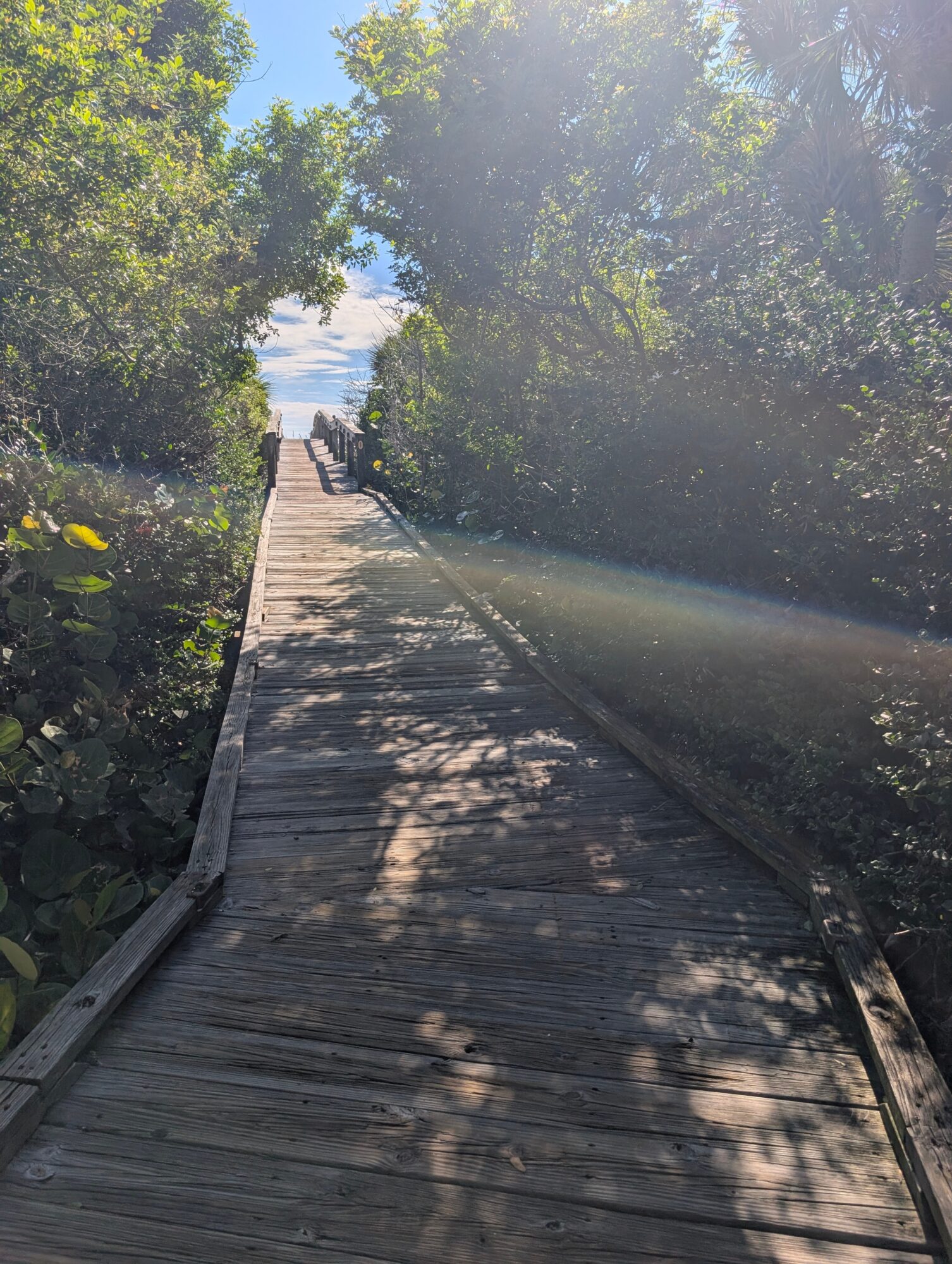 Wooden pathway through trees with sunlight and shadows, leading to a distant figure, under a blue sky.