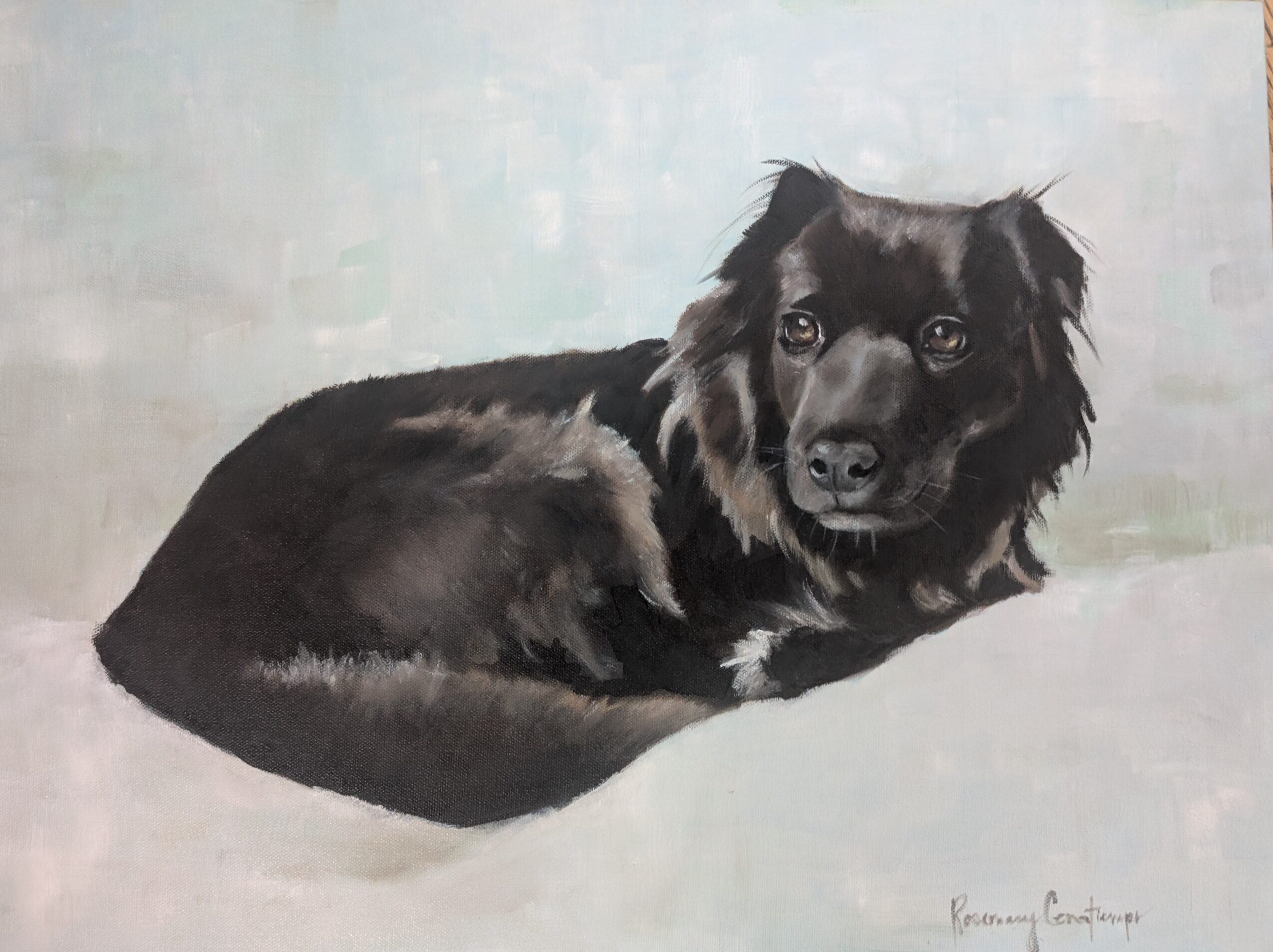 A black dog with brown markings lying on a light-colored surface, looking at the camera with a relaxed posture.
