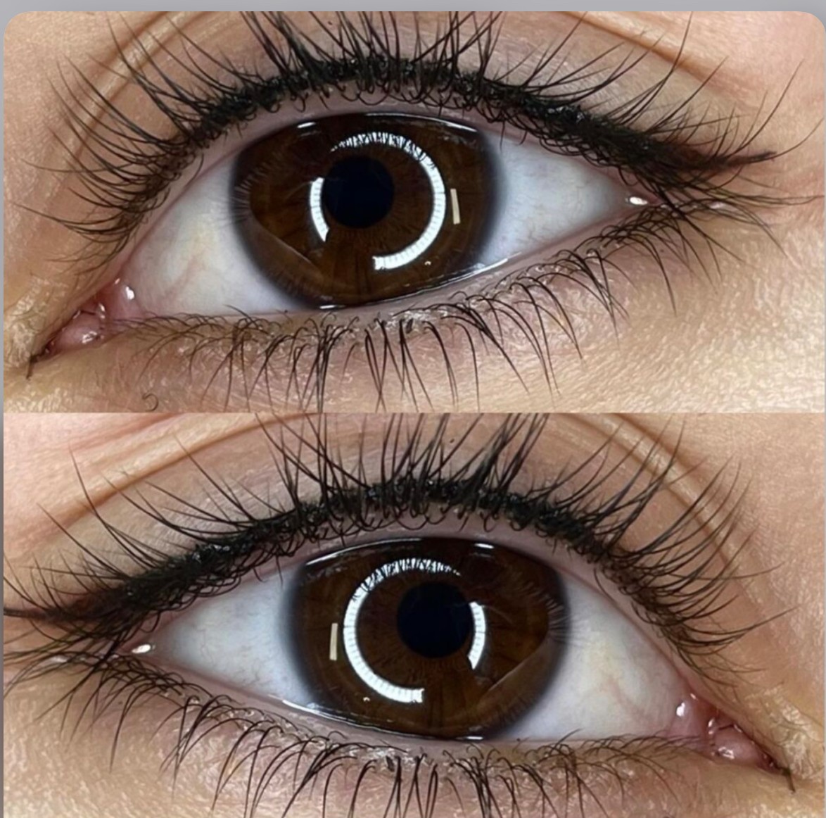 Close-up of two brown eyes with long eyelashes, reflecting circular light patterns, with visible skin and eyelashes.