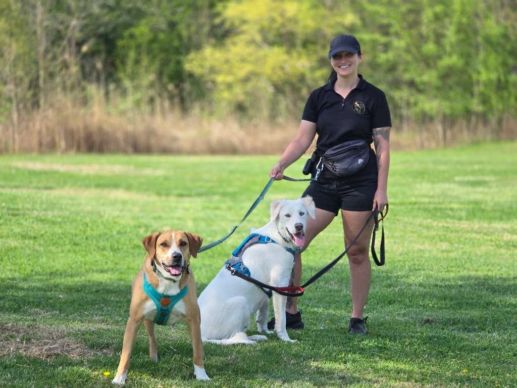 Person standing outdoors with two dogs on a grassy field, trees in the background, person smiling, wearing black clothing and cap.