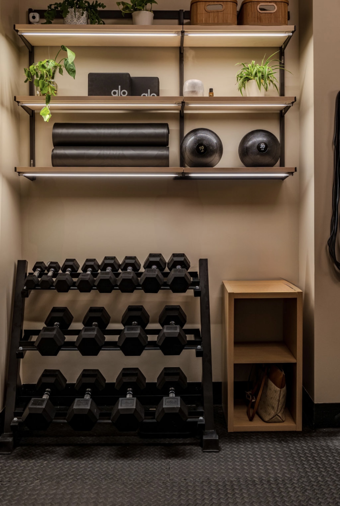 A compact workout space with shelves, plants, exercise equipment, and racks of dumbbells.