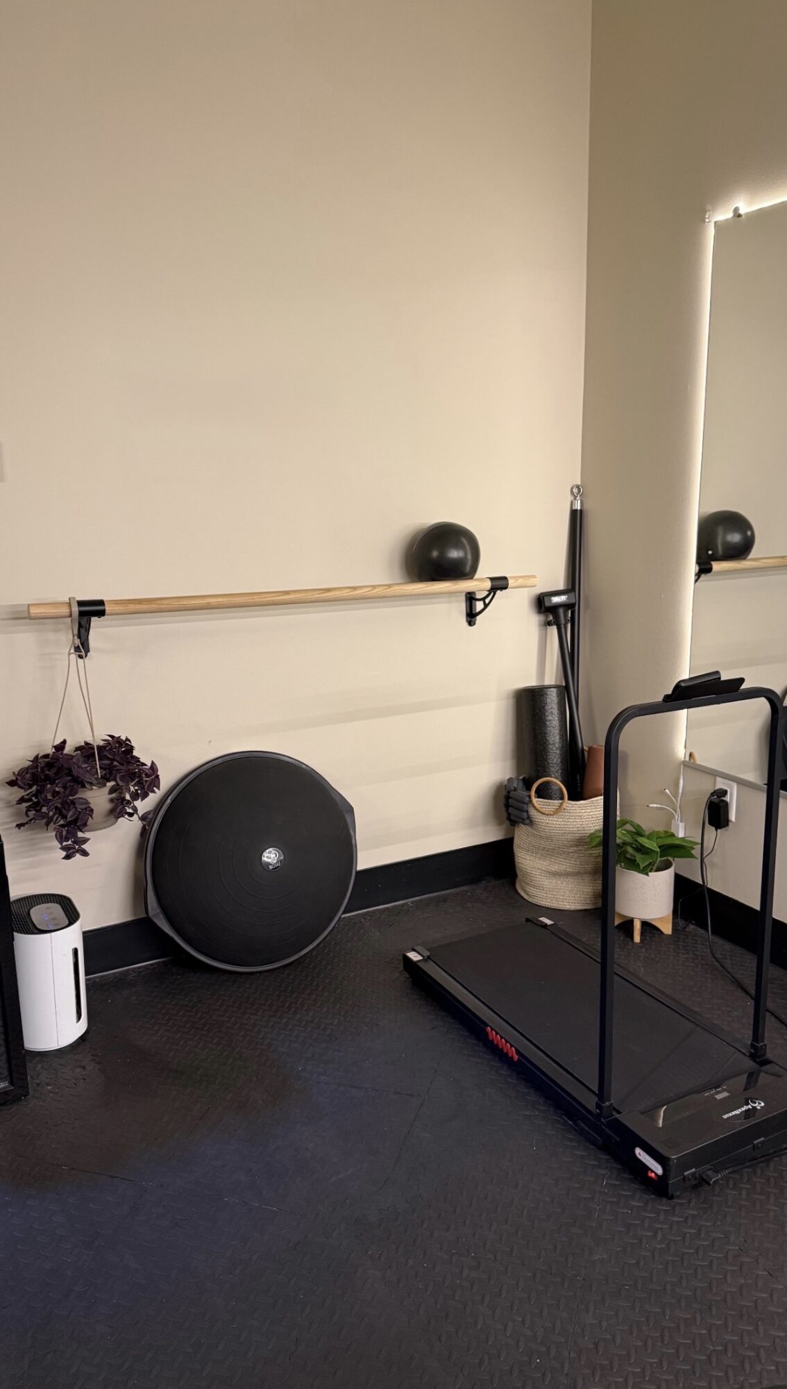 Exercise area with a large stability ball, wall-mounted bar, small plants, and a black treadmill beside a mirror.
