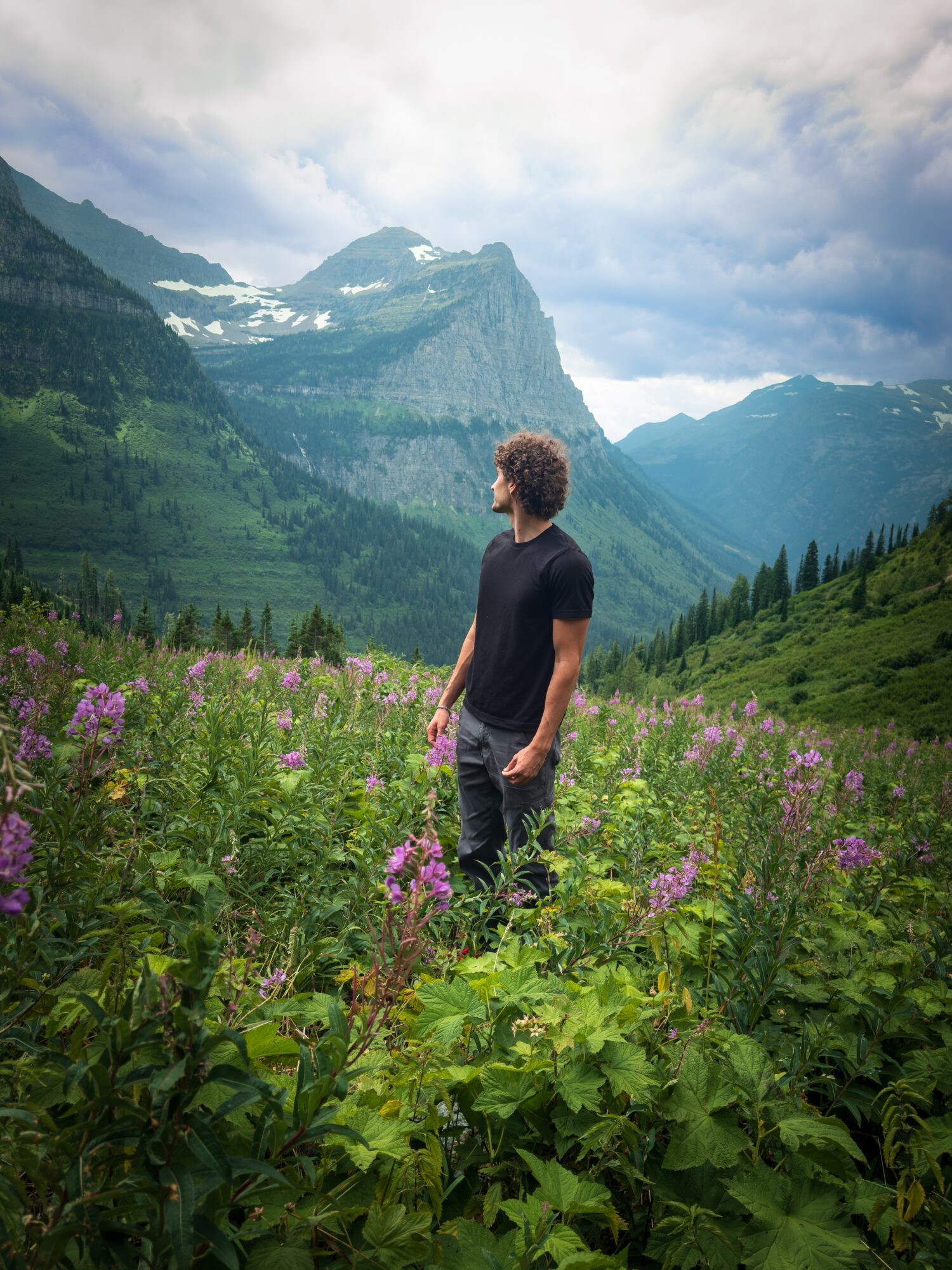 A person stands among purple wildflowers in a mountain meadow, with forested peaks and cloudy sky behind.